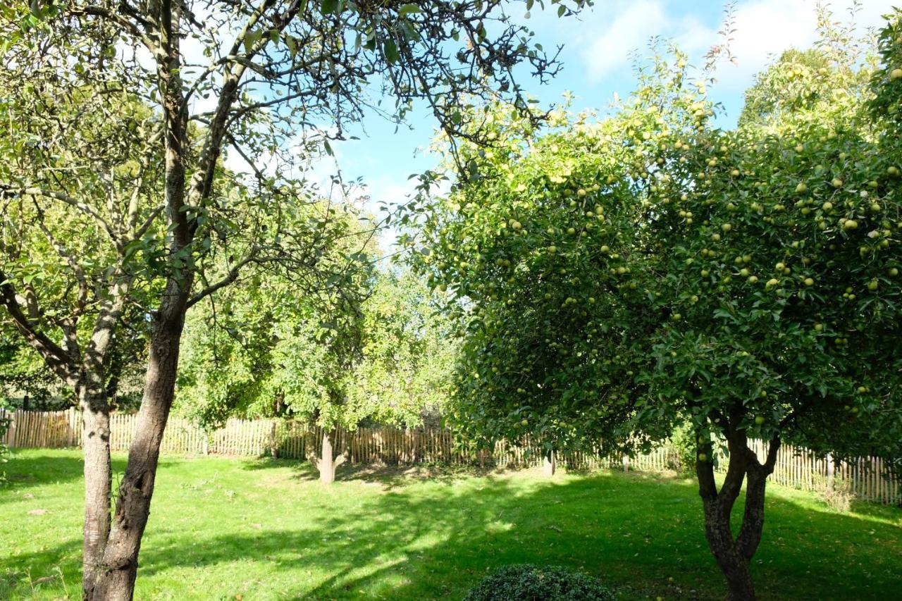 Urlaubsoase Ostsee Hohen Schoenberg Esterno foto