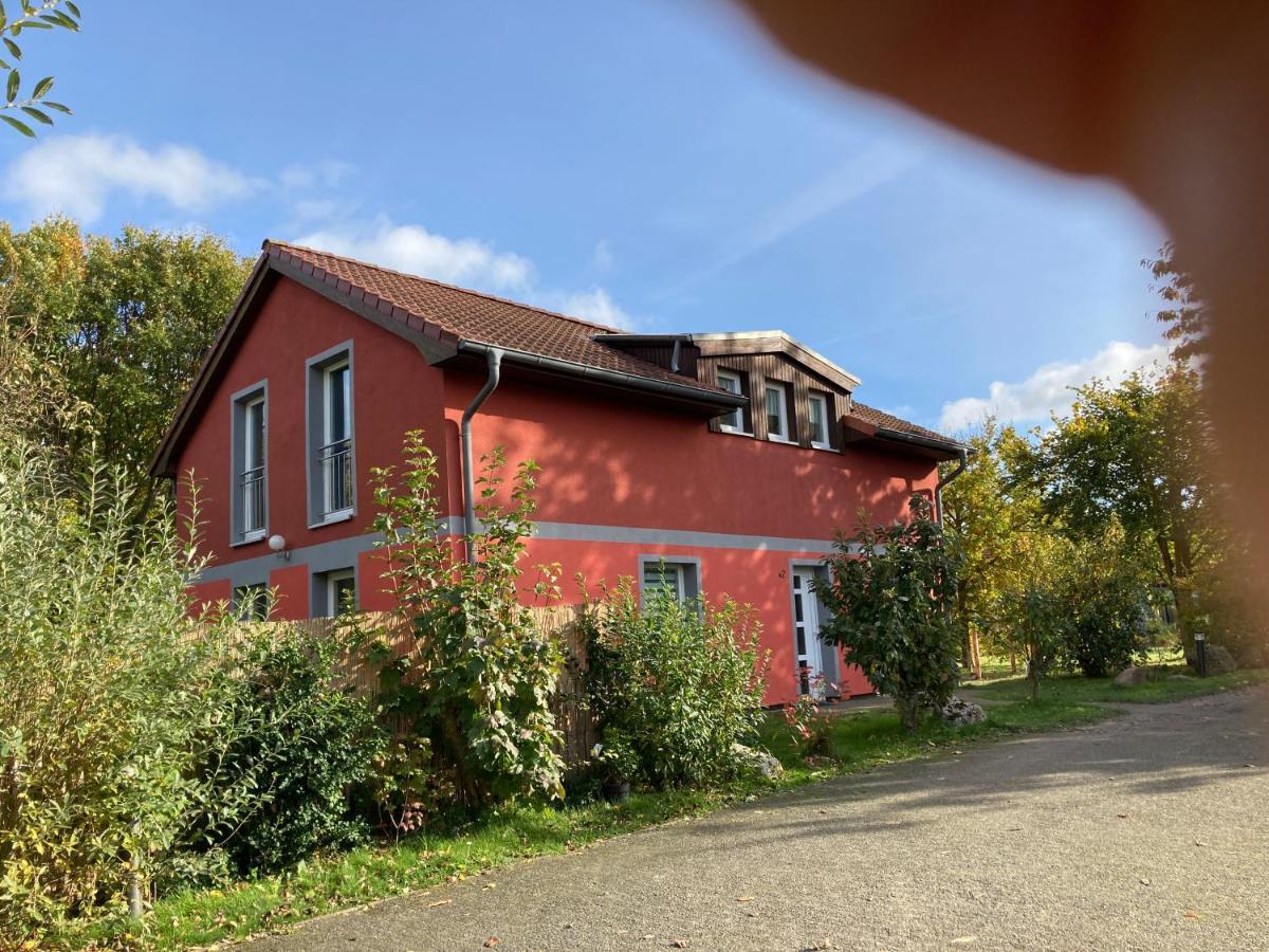 Urlaubsoase Ostsee Hohen Schoenberg Esterno foto