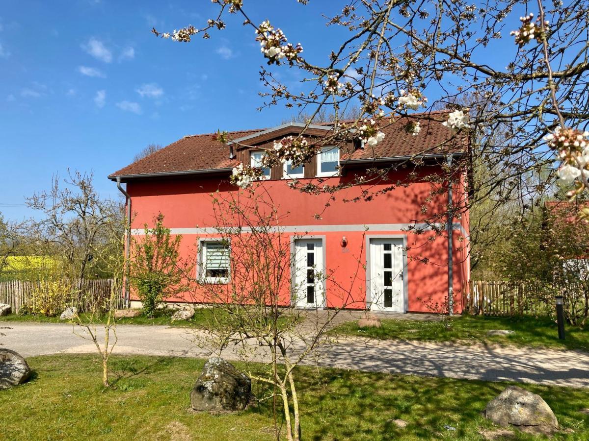 Urlaubsoase Ostsee Hohen Schoenberg Esterno foto