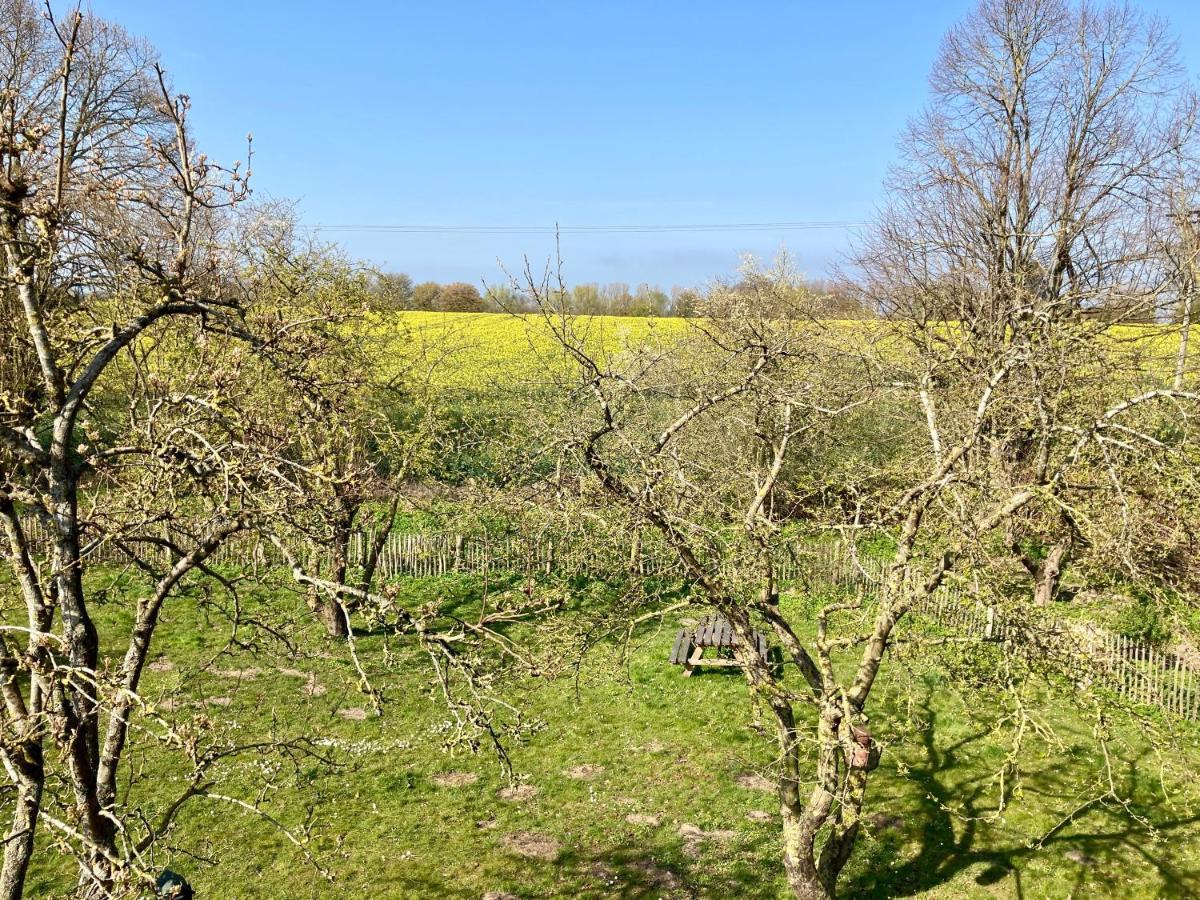 Urlaubsoase Ostsee Hohen Schoenberg Esterno foto