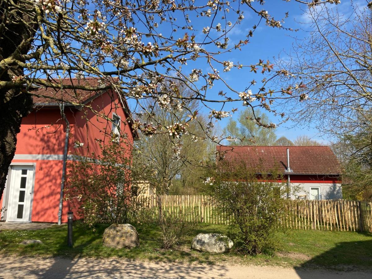 Urlaubsoase Ostsee Hohen Schoenberg Esterno foto